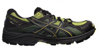 Asics Gel Arctic 4 GTX Marathon