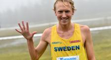 David Nilsson