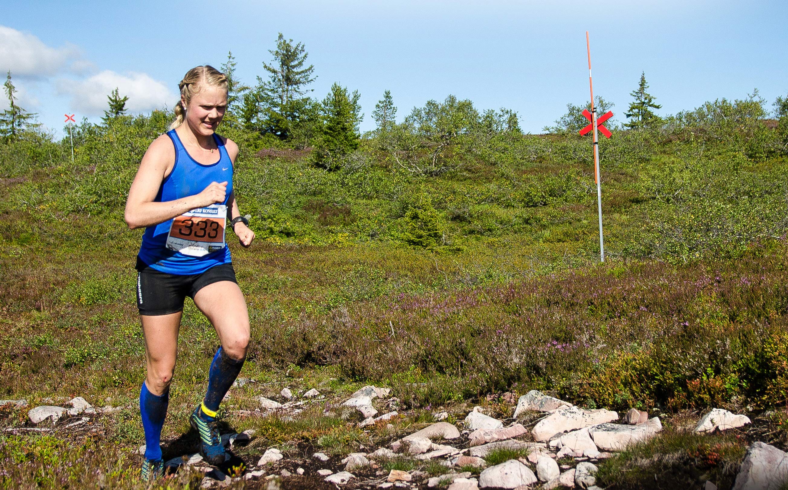 Trail-lopp